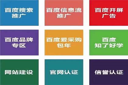 某电商平台的SEM竞价专员成功案例分享